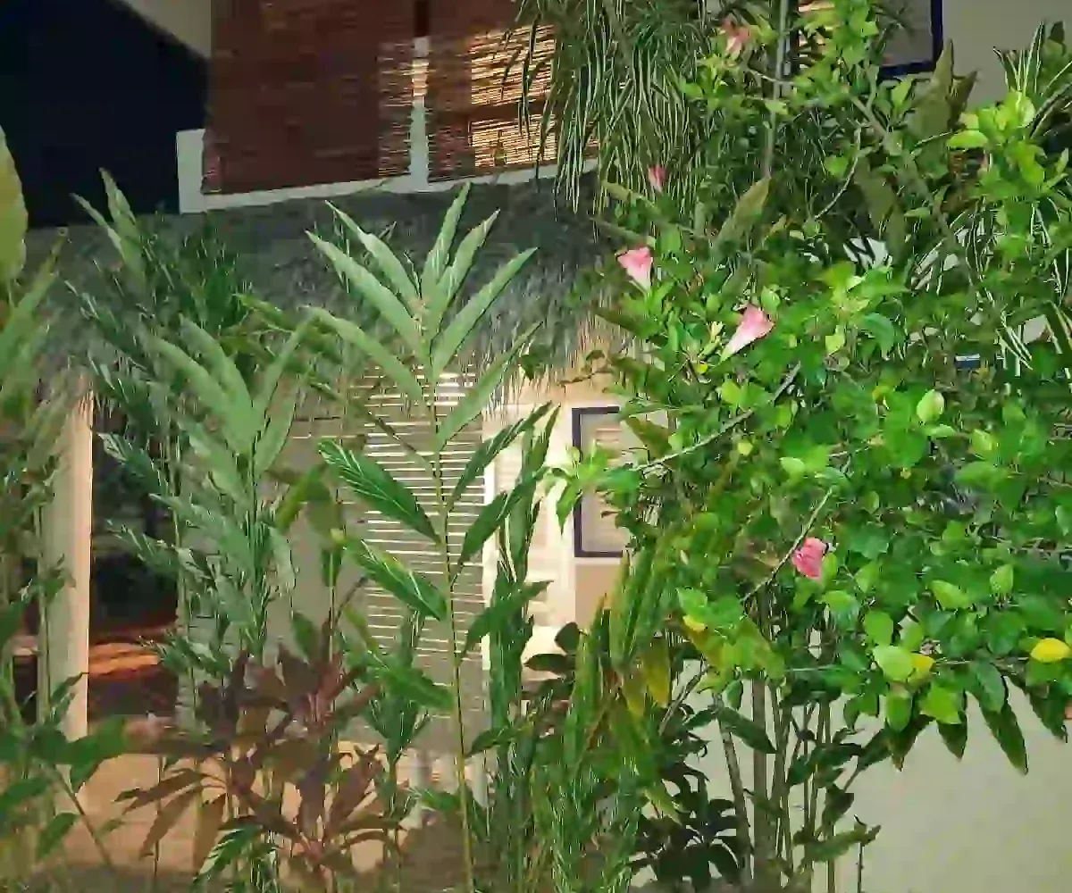 Hoteles en Samana Dominican Republic