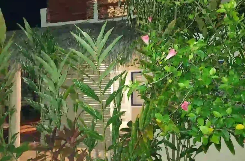 Hoteles en Samana Dominican Republic