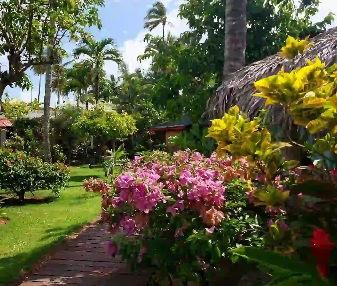 Hoteles en Samana Dominican Republic