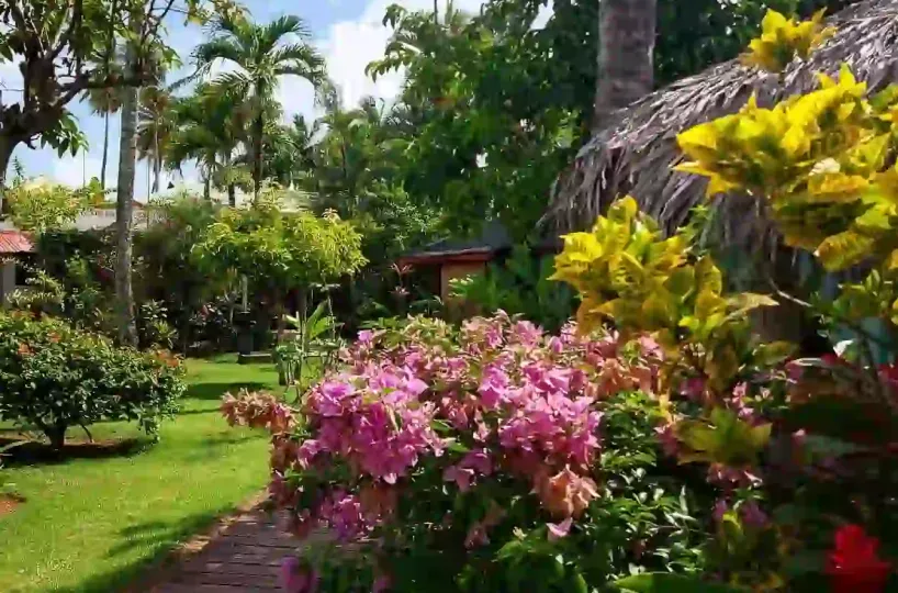 Hoteles en Samana Dominican Republic