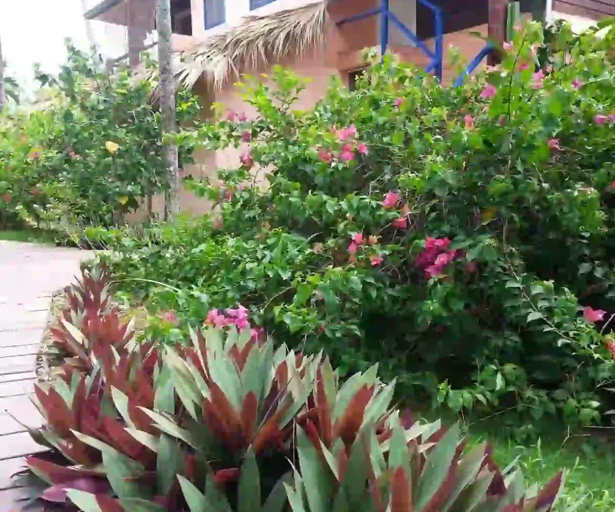 Hoteles en Samana Dominican Republic