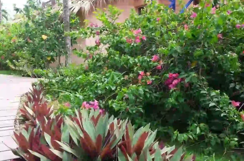 Hoteles en Samana Dominican Republic