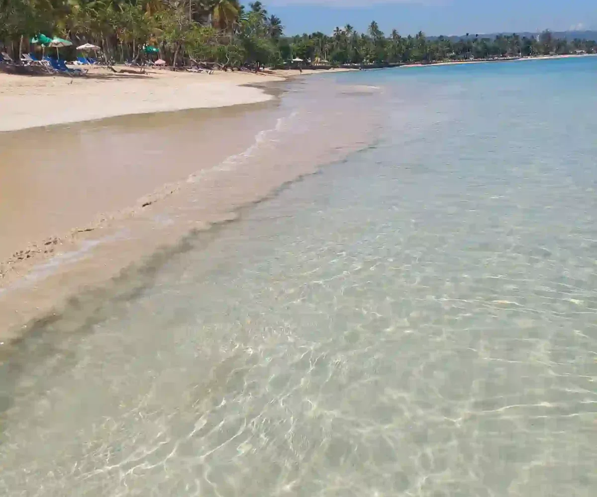 Hoteles en Samana Dominican Republic