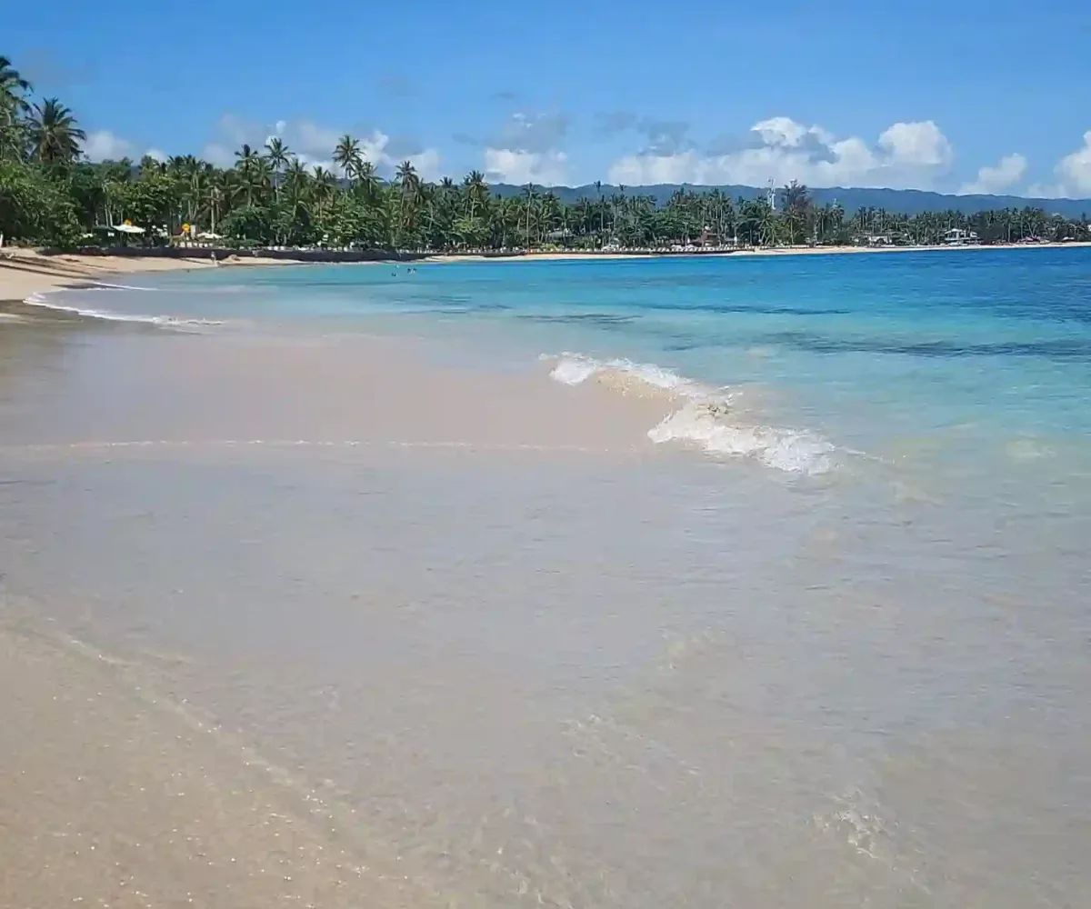 Hoteles en Samana Dominican Republic