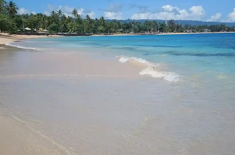 Hoteles en Samana Dominican Republic