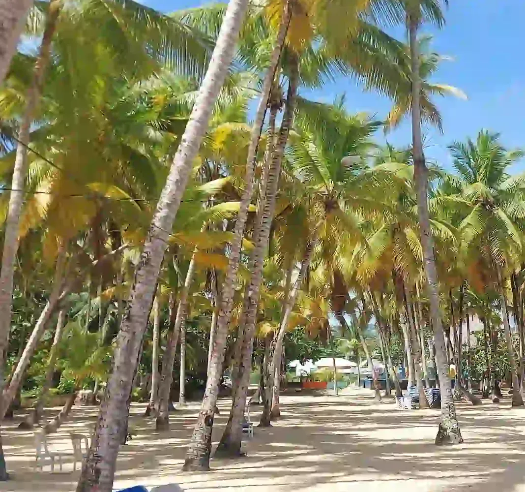 Hoteles en Samana Dominican Republic