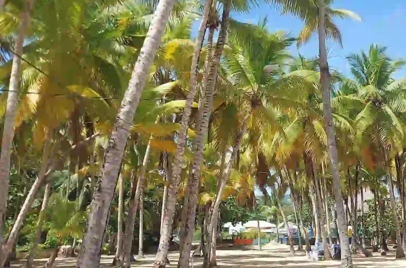 Hoteles en Samana Dominican Republic