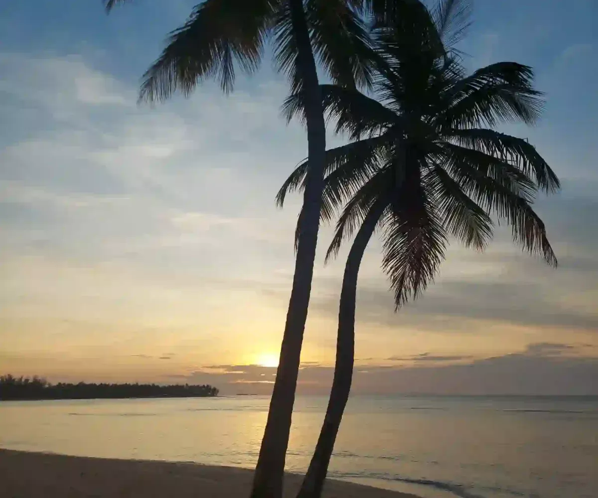 Hoteles en Samana Dominican Republic