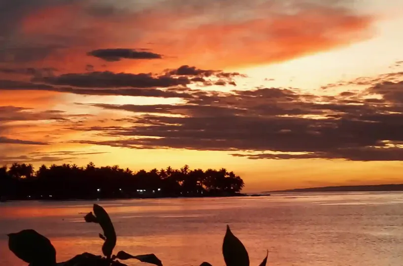 Hoteles en Samana Dominican Republic