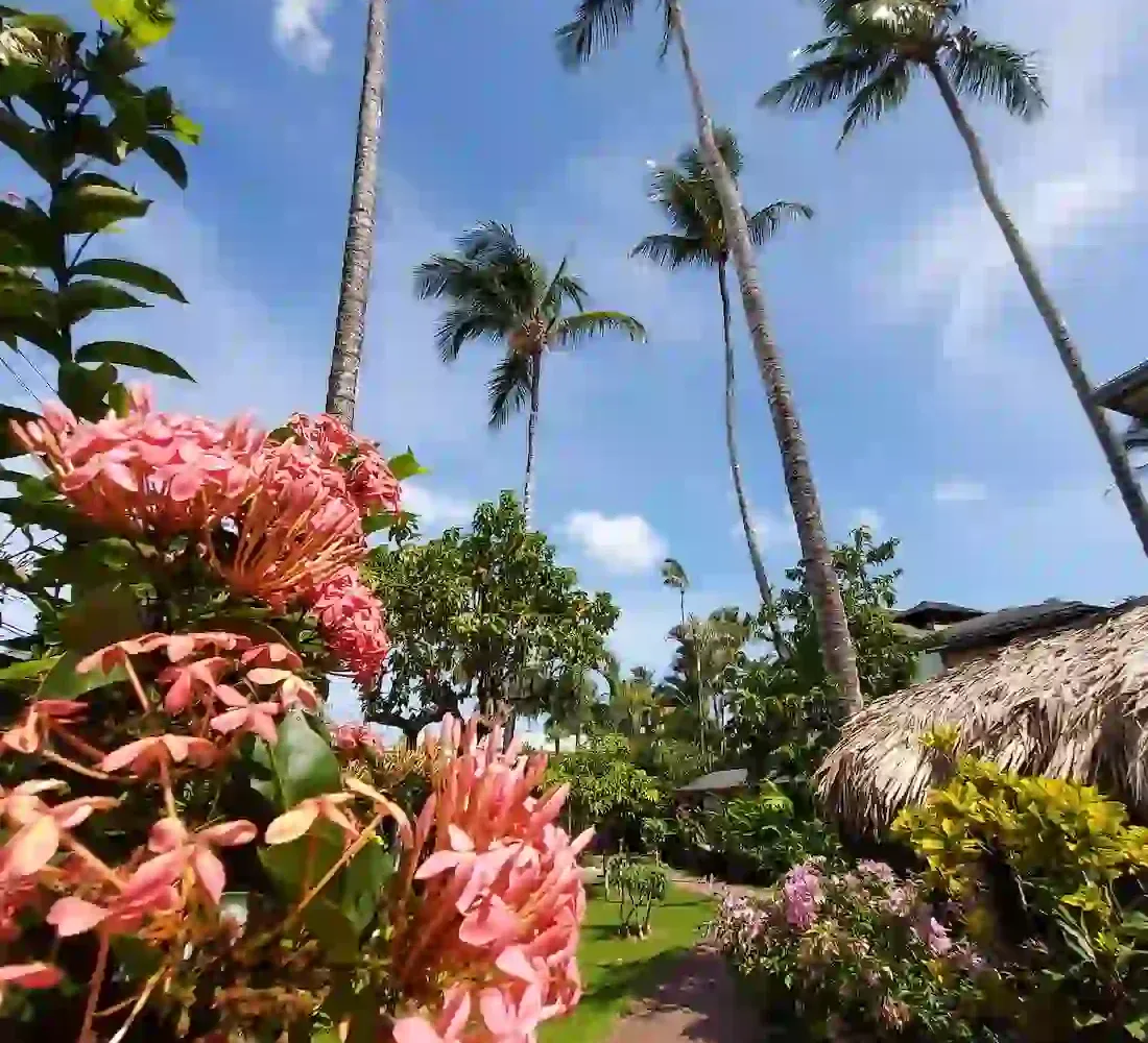 Hoteles en Samana Dominican Republic