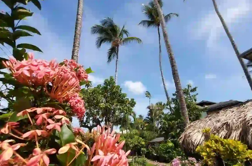 Hoteles en Samana Dominican Republic