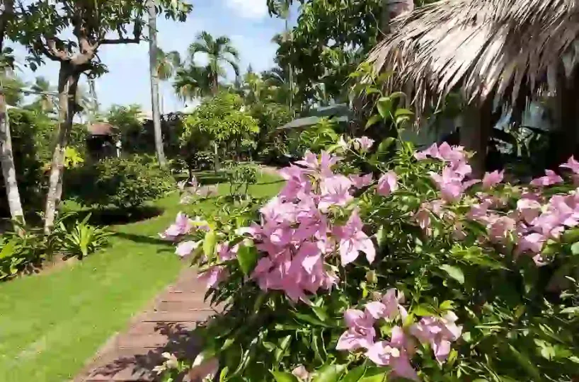 Hoteles en Samana Dominican Republic