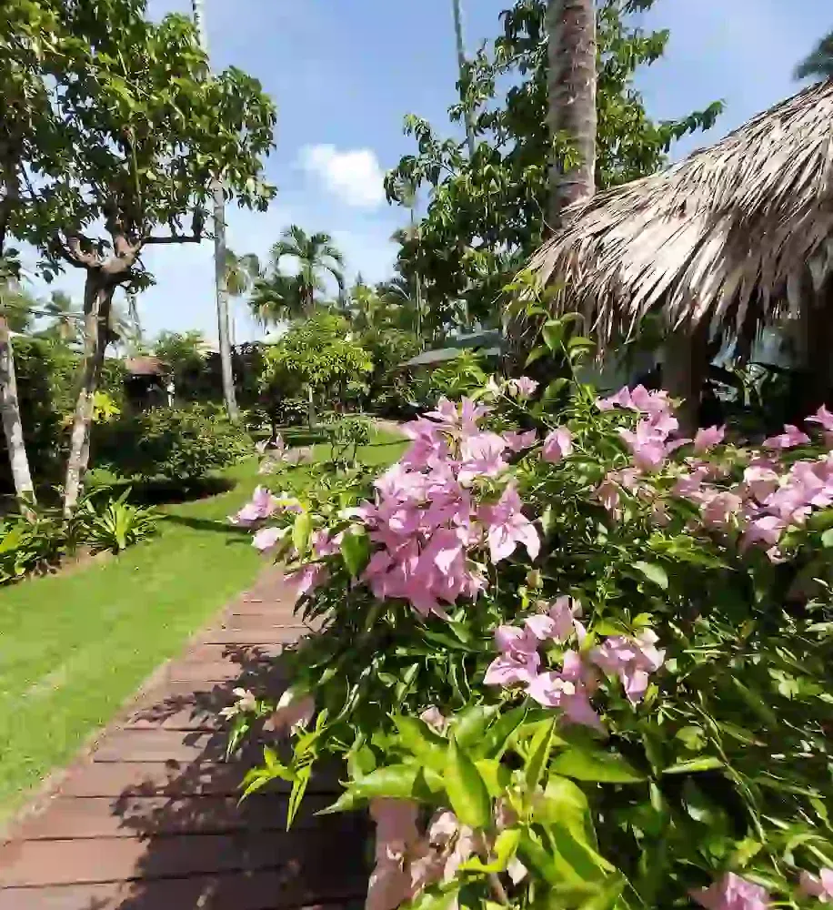 Hoteles en Samana Dominican Republic