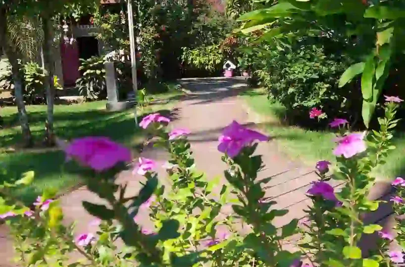 Hoteles en Samana Dominican Republic