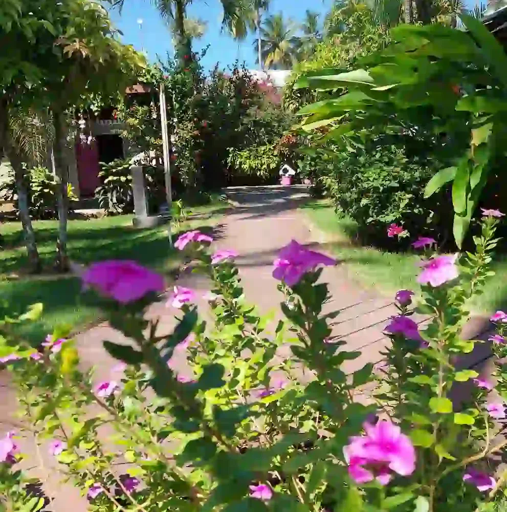 Hoteles en Samana Dominican Republic