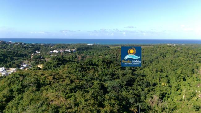 Propiedades en Samana Republica Dominicana