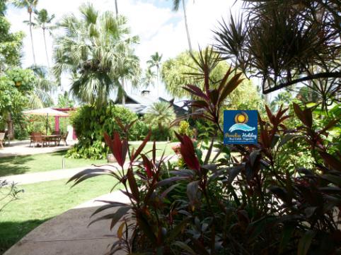 Real estate las terrenas