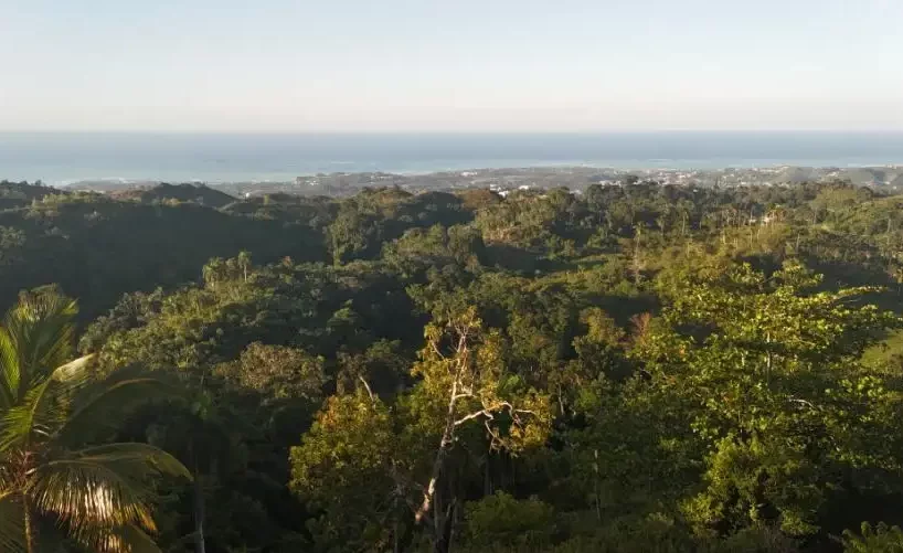 vista del paisaje desde terreno en las terrenas