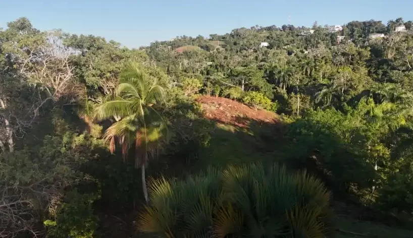 vista del terreno en venta en las terrenas hacia el mar caribe