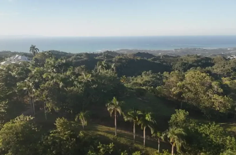 panoramica del terreno en las terrenas vista mar