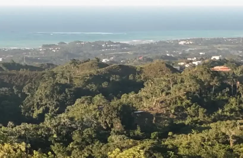vista panoramica del terreno en las terrenas