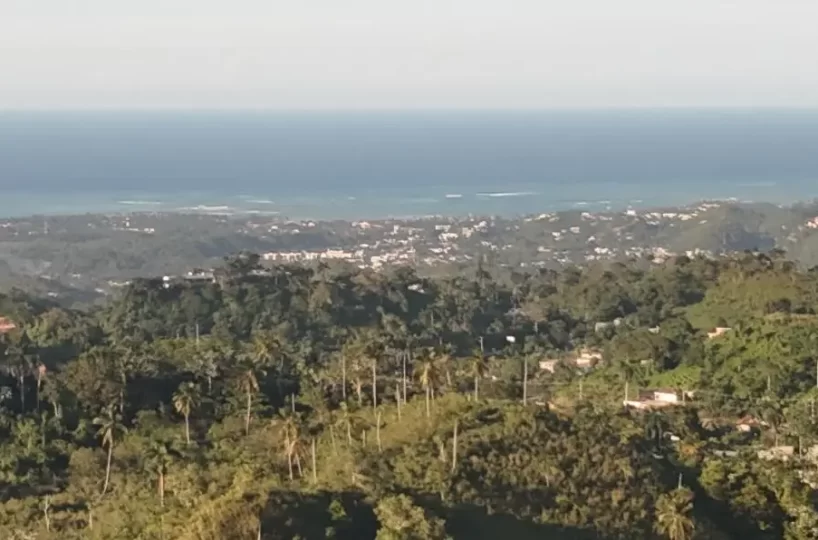 terreno en las terrenas con vista abierta al mar