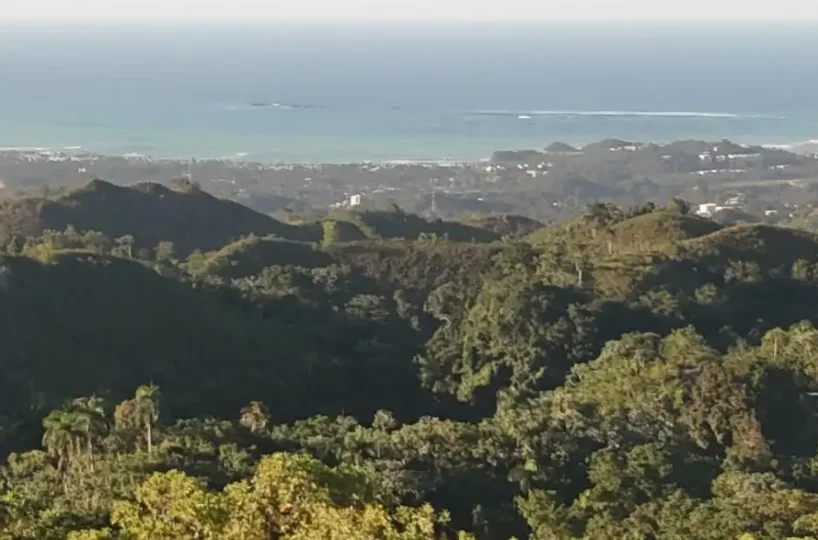 terreno en venta en las terrenas vista panoramica al mar