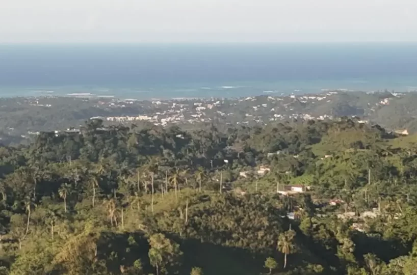 vista natural del terreno en las terrenas hacia el mar