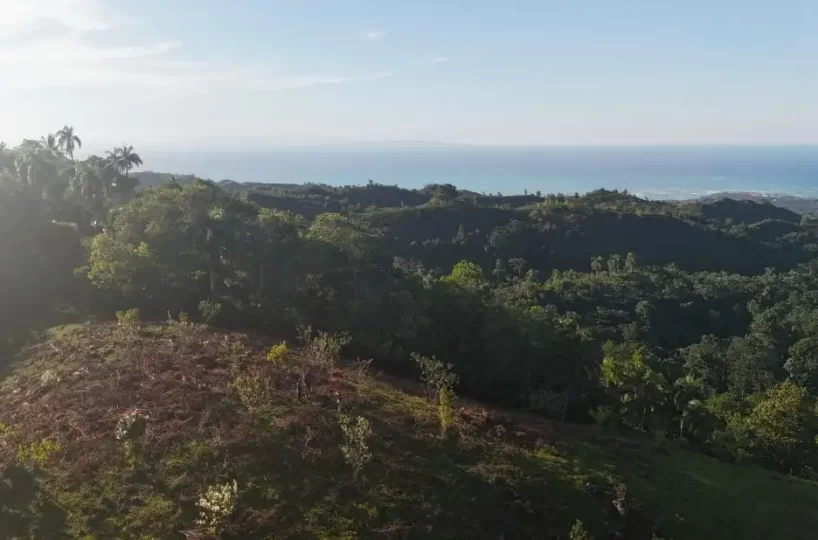 terreno en loma con vista al mar las terrenas