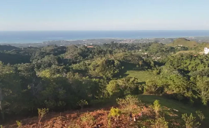 vista abierta del terreno en las terrenas