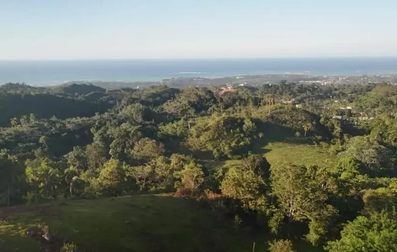 terreno con vista panoramica al mar las terrenas