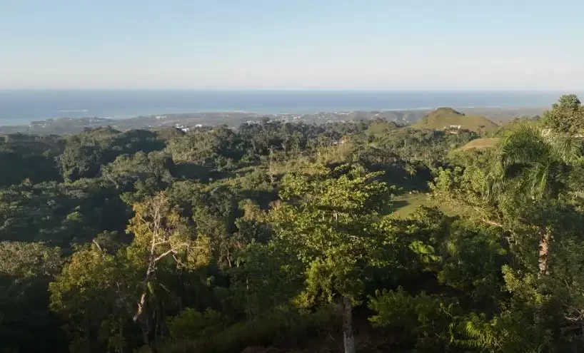 vista del terreno en venta en las terrenas con vista al mar