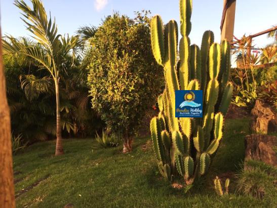 Villas en Las Terrenas